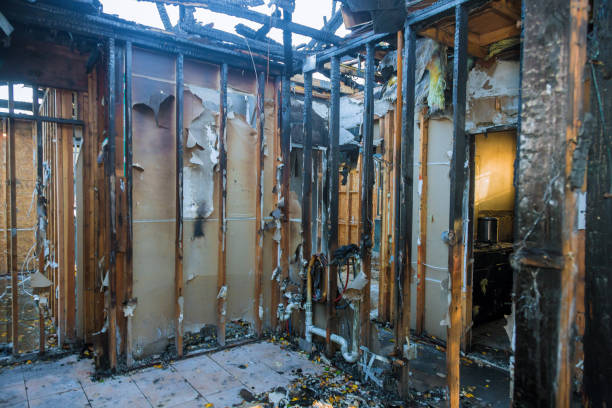 Professional Fire Damage Repair technician working in Riverview, FL